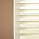 dual blinds
