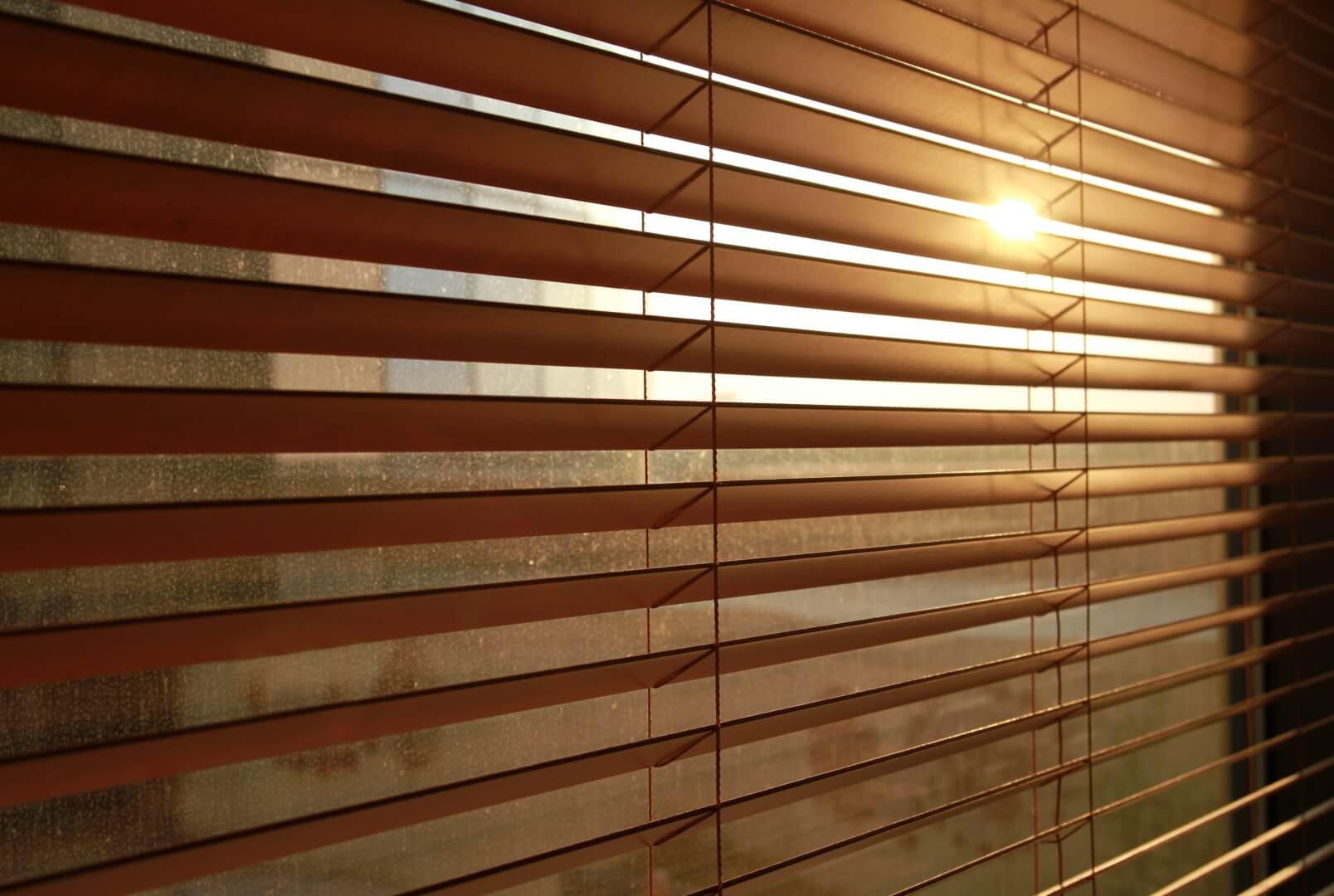 brown blinds